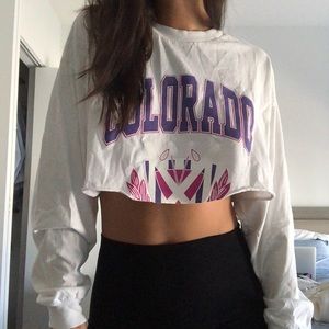 Brandy Melville Colorado cropper longsleeve